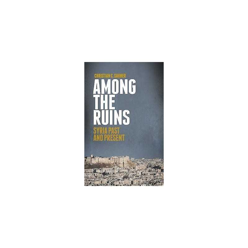 Among the Ruins - 9781849044004