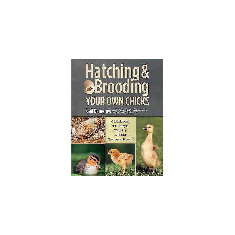 Hatching & Brooding Your Own Chicks - 9781612120140