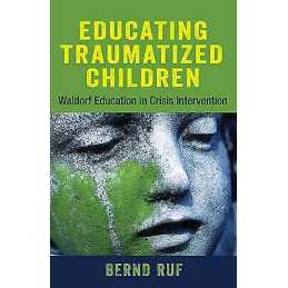 Educating Traumatized Children - 9781584201557