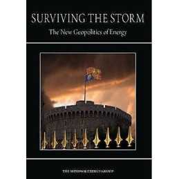 Surviving the Storm - 9781909339521