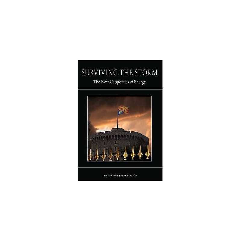 Surviving the Storm - 9781909339521