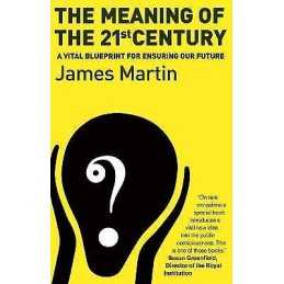 The Meaning Of The 21st Century - 9781903919866