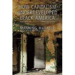 How Capitalism Underdeveloped Black America - 9781608465118