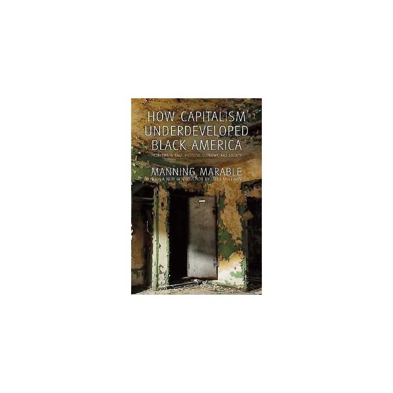 How Capitalism Underdeveloped Black America - 9781608465118
