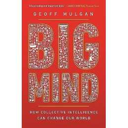 Big Mind - 9780691196169