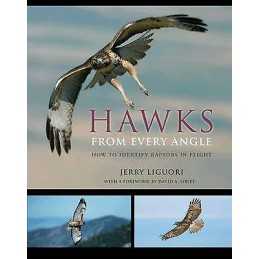 Hawks from Every Angle - 9780691118253