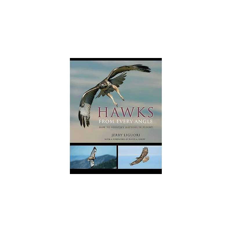 Hawks from Every Angle - 9780691118253