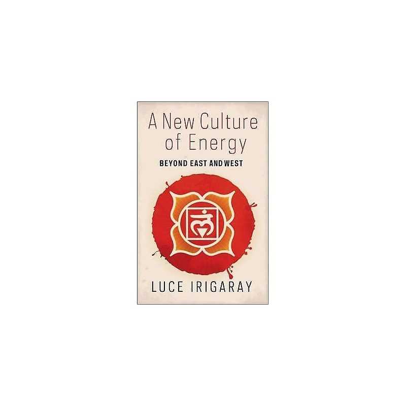 A New Culture of Energy - 9780231177139