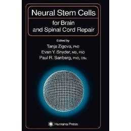Neural Stem Cells for Brain and Spinal Cord Repair - 9781617372988