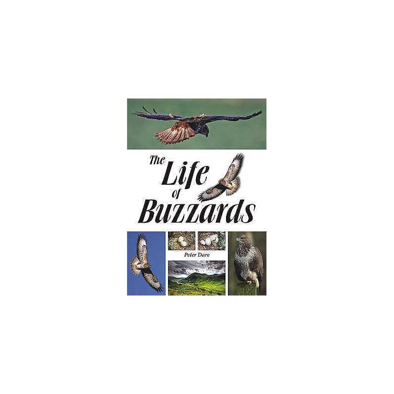 The Life of Buzzards - 9781849951302