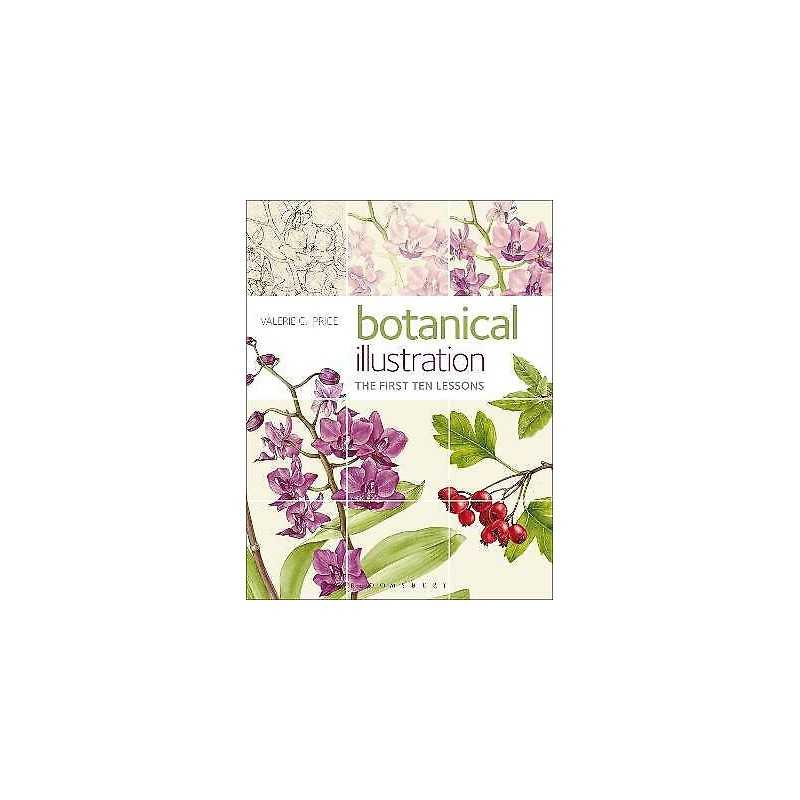 Botanical Illustration - 9781912217151