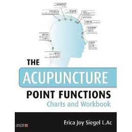 The Acupuncture Point Functions Charts and Workbook - 9780857013903