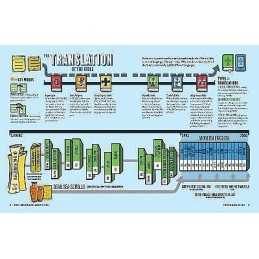 The Ultimate Infographic Guide to the Bible - 9780736982740