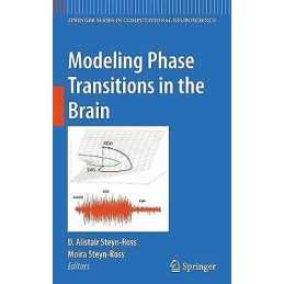 Modeling Phase Transitions in the Brain - 9781441907950