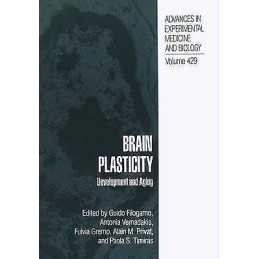 Brain Plasticity - 9781475795530