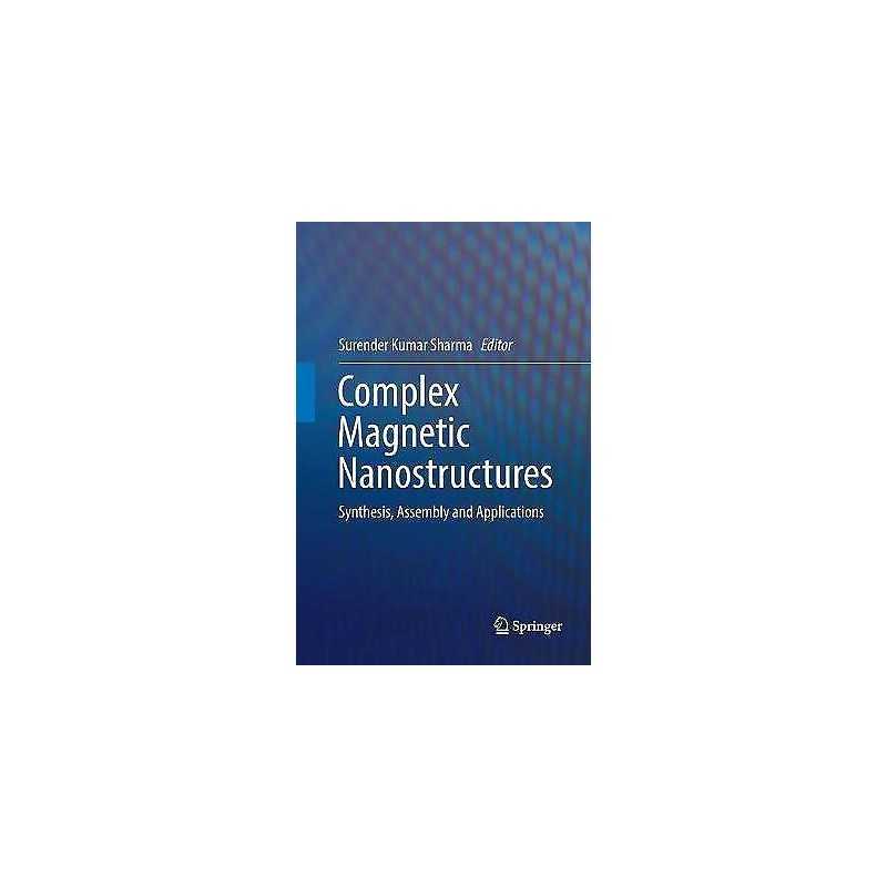 Complex Magnetic Nanostructures - 9783319848174
