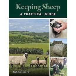 Keeping Sheep - 9780719842214