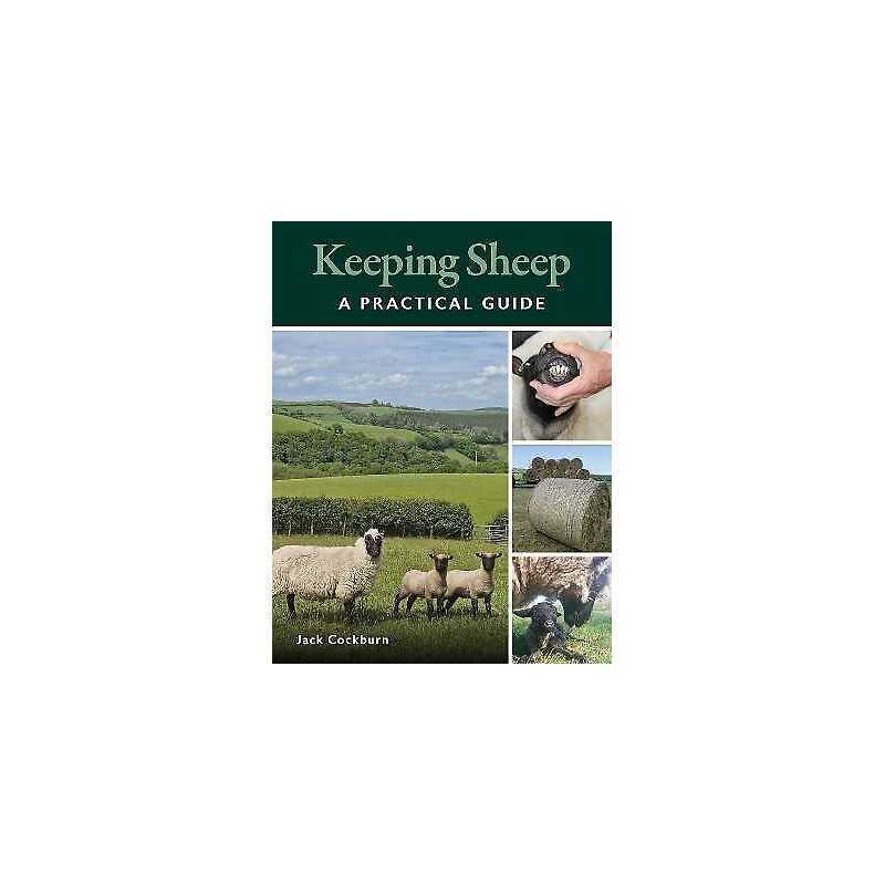 Keeping Sheep - 9780719842214