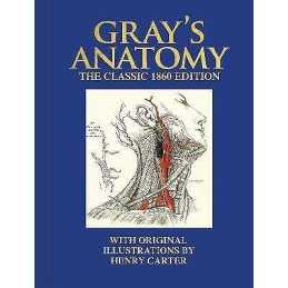 Grays Anatomy - 9781398824492