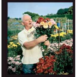 Allotments - 9781904587736