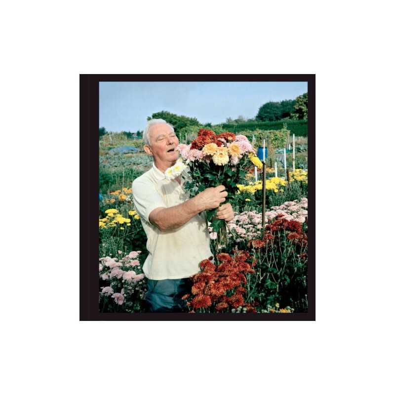Allotments - 9781904587736