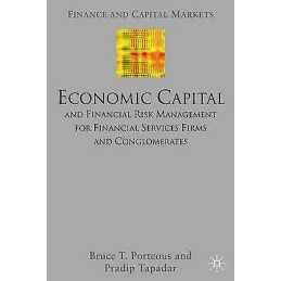 Economic Capital and Financial Risk Management for Financial ... - 9781403936080