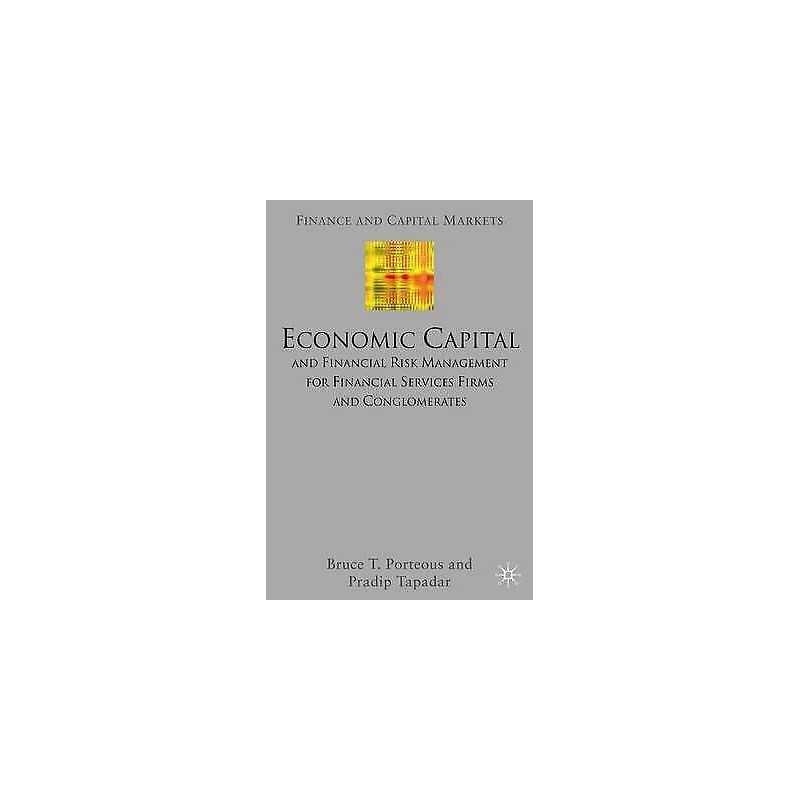 Economic Capital and Financial Risk Management for Financial ... - 9781403936080