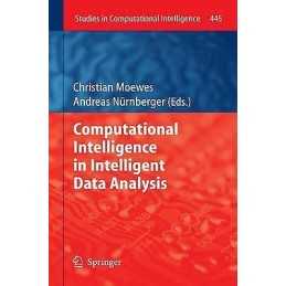 Computational Intelligence in Intelligent Data Analysis - 9783642430855