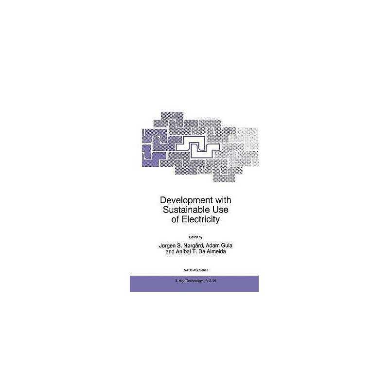 Development with Sustainable Use of Electricity - 9780792352174