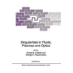 Singularities in Fluids, Plasmas and Optics - 9789401048941
