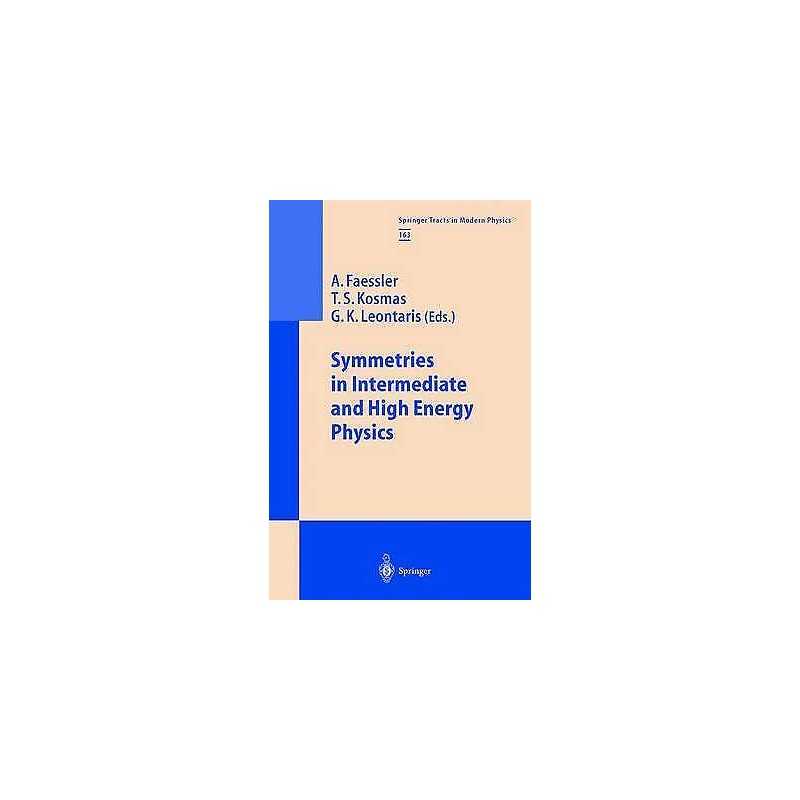 Symmetries in Intermediate and High Energy Physics - 9783540666981