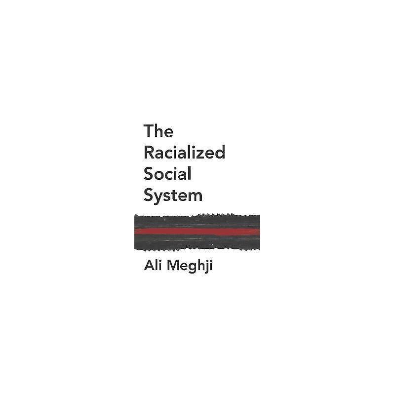 The Racialized Social System - 9781509539956