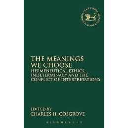 The Meanings We Choose - 9780567082169