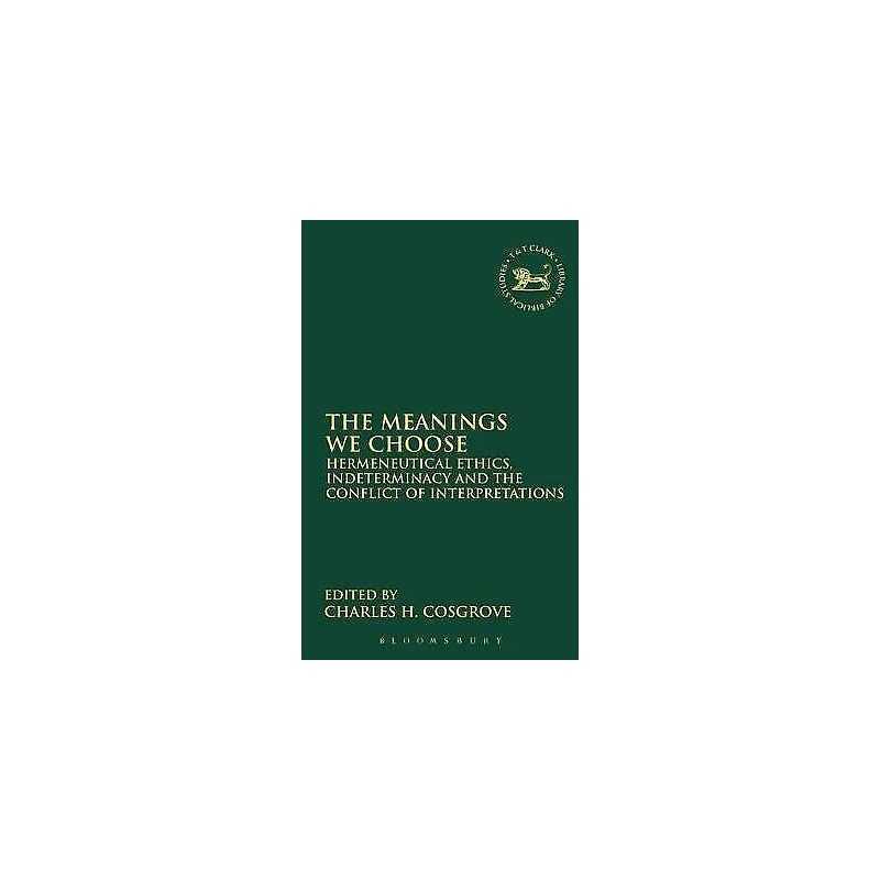 The Meanings We Choose - 9780567082169