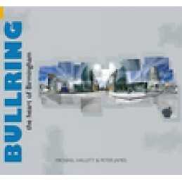 Bullring - 9780752430416