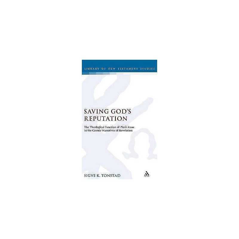 Saving Gods Reputation - 9780567044945
