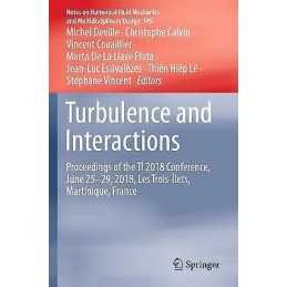Turbulence and Interactions - 9783030658229