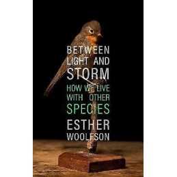 Between Light and Storm - 9781783782796