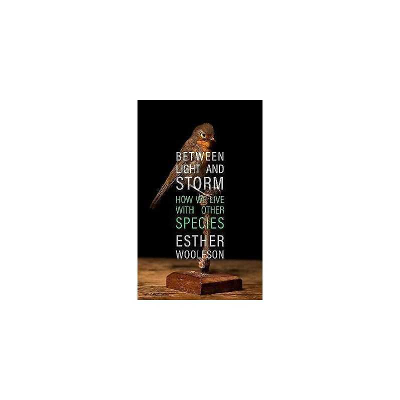 Between Light and Storm - 9781783782796