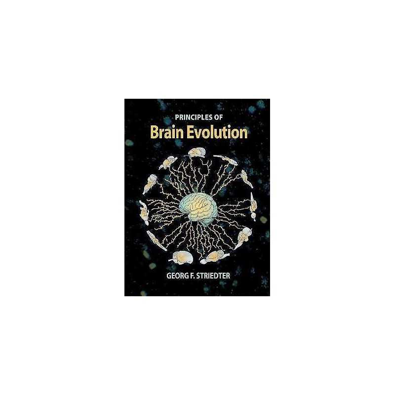 Brain Evolution - 9780878938209
