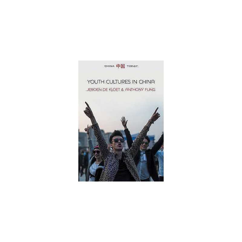 Youth Cultures in China - 9780745679181