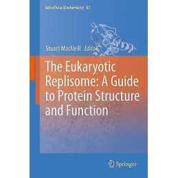 The Eukaryotic Replisome: a Guide to Protein Structure and Fu... - 9789400797703