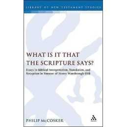What is it that the Scripture Says? - 9780567043535
