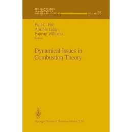 Dynamical Issues in Combustion Theory - 9780387975832