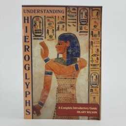 Understanding Hieroglyphs: A Quick and Simple Guide by Wilson, Hilary Hardback