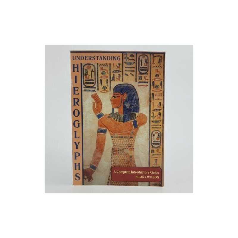 Understanding Hieroglyphs: A Quick and Simple Guide by Wilson, Hilary Hardback