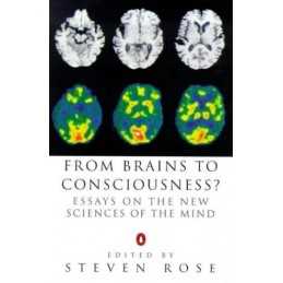 From Brains to Consciousness?: Essays On the New Sci...