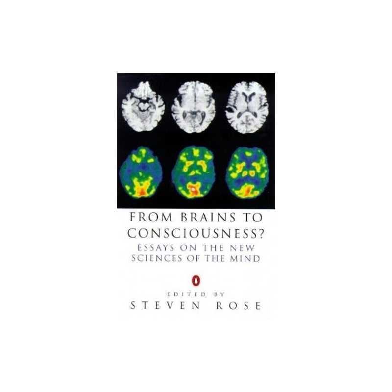 From Brains to Consciousness?: Essays On the New Sci...