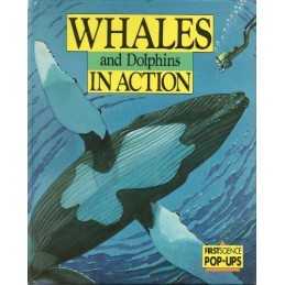 Whales and Dolphins in Action (First Science Pop-u... by Gay, Tanner O. Hardback
