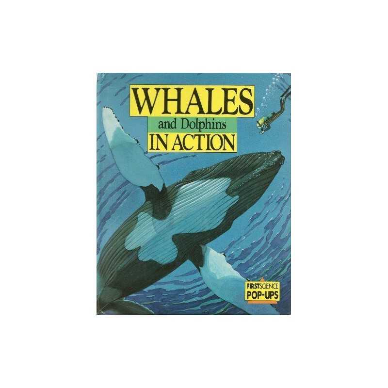 Whales and Dolphins in Action (First Science Pop-u... by Gay, Tanner O. Hardback